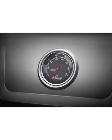 BARBACOA DE GAS FREESTYLE 365 DSIB