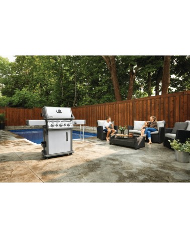 BARBACOA DE GAS ROGUE PRO-S 425 RSIB