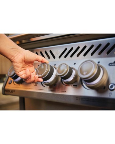 BARBACOA DE GAS ROGUE PRO-S 425 RSIB