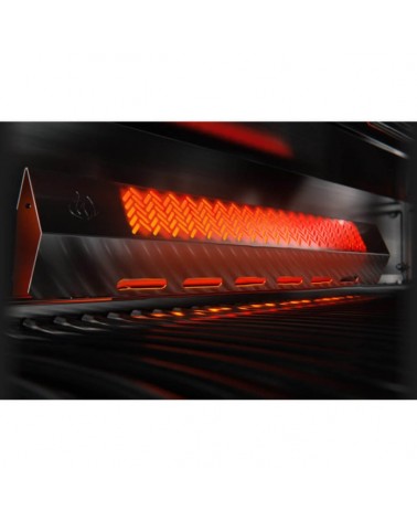 BARBACOA DE GAS ROGUE PRO-S 525 RSIB