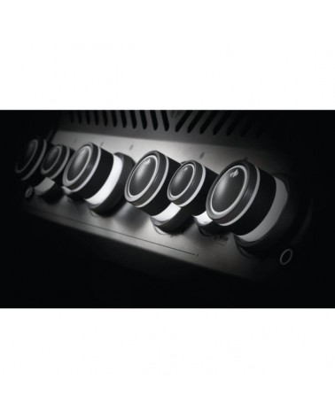 BARBACOA DE GAS ROGUE PRO-S 525 RSIB