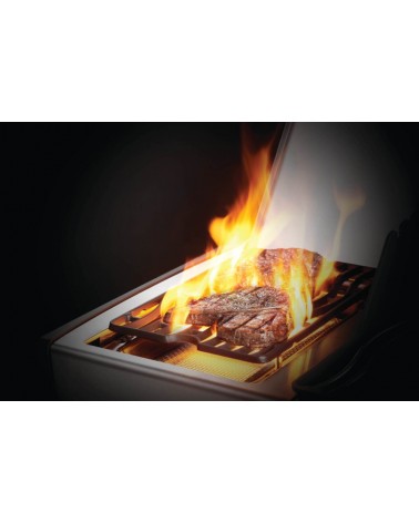 BARBACOA DE GAS ROGUE PRO-S 525 RSIB