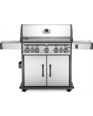 BARBACOA DE GAS ROGUE PRO-S...
