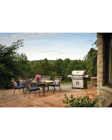 BARBACOA DE GAS ROGUE PRO-S 625 RSIB