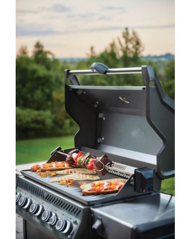 BARBACOA DE GAS ROGUE PRO-S 625 RSIB