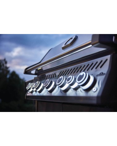 BARBACOA DE GAS ROGUE PRO-S 625 RSIB