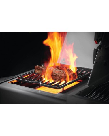 BARBACOA DE GAS PRESTIGE 500 RSIB