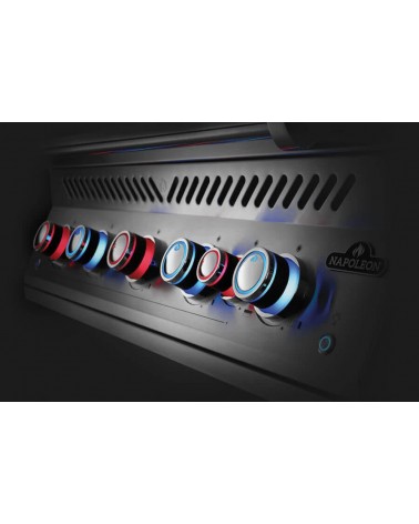 BARBACOA DE GAS SERIE 700 INTEGRADA DE 32 con quemador trasero infrarrojo