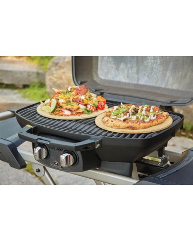 BARBACOA DE GAS TRAVELQ PRO285X