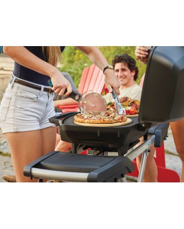 BARBACOA DE GAS TRAVELQ PRO285X